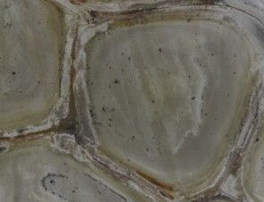 Wasabi Quartzite *